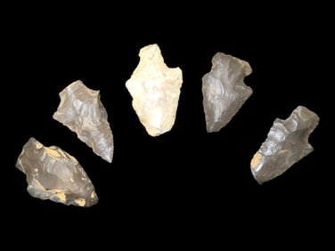 Grouping of 5 Arrowheads found in Arkansas