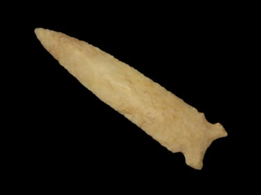 3 3/4" Osceola