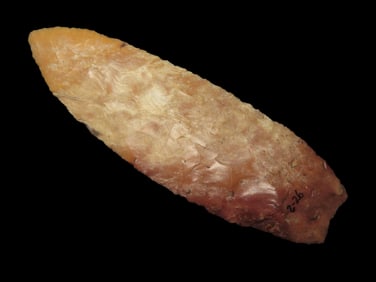 3 11/16" Angostura, Dickey COA, EX Matt Lay, Found by Clifford Perkins on Perche Creek, Boone,