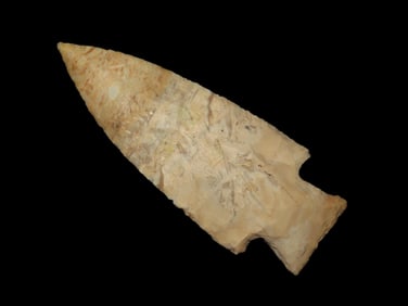 3 3/8" Hardin, Motley COA, found in Missouri, Ex Robert Brusatte Collection