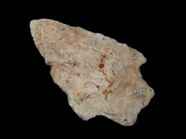 2 5/8" Burlington Chert Johnson, Motley COA, Greene County Missouri