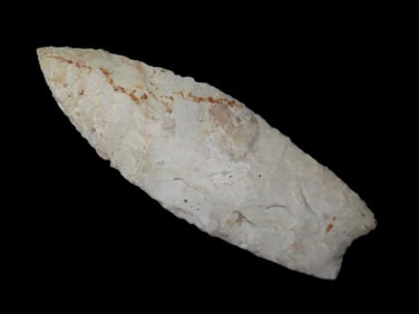 3 1/4" Fossiliferous Hormston Chert Angostura, Motley COA, Woodford County Illinois