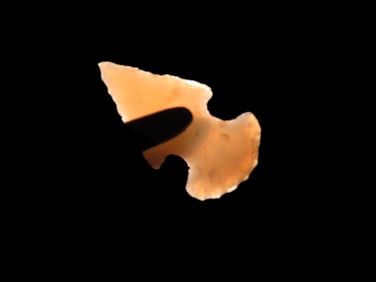 1" Translucent Bird Point, EX McIntire, New Mexico
