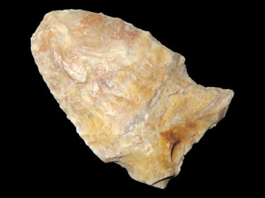 Pike Co. Illinois Robinson - 1 1/2" x 1"