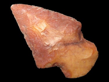 Pike Co. Illinois Cupp - 1 1/2" x 1"
