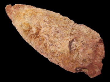 Pike Co. Illinois Side Notched - 3" x 1 1/4"
