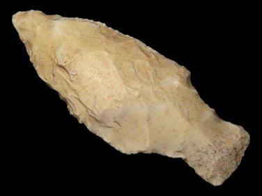 Pike Co. Illinois Alberta - 2 3/4" x 1"
