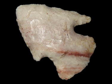 Pike Co. Illinois Calf Creek - 1 3/4" x 1 1/8"
