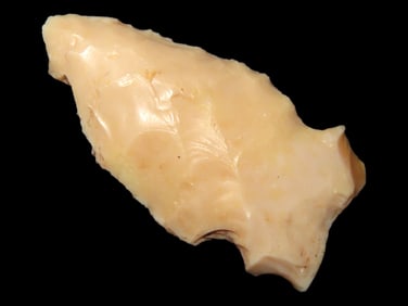Pike Co. Illinois Bird Point - 1 1/4" x 3/4"