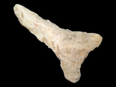 Pike Co. Illinois Dalton Drill Point - 1 3/4" x 1"
