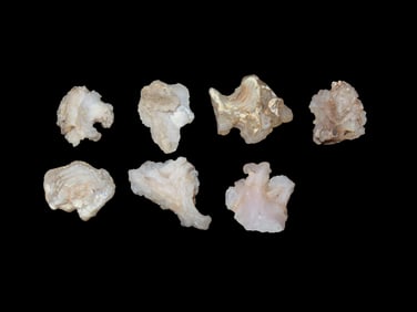 Group of 7 White Botryoidal Chalcedony Stones with Crystals
