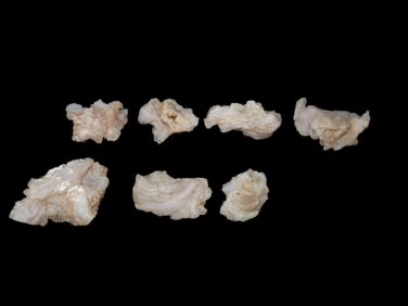 Group of 7 White Botryoidal Chalcedony Stones with Crystals