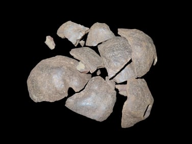 Lot of Pottery Sherds