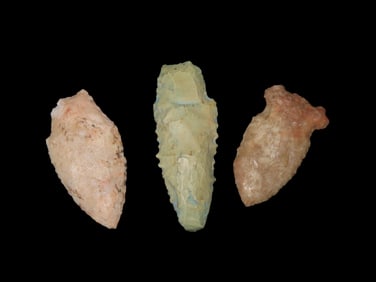 Group of 3 Field Grade Common Pts