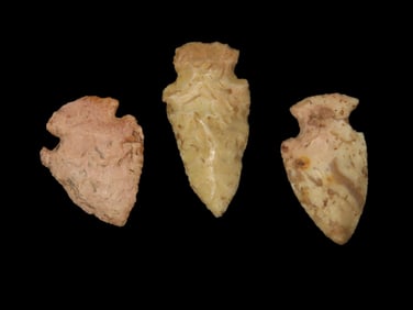 Group of 3 Field Grade Common Pts
