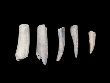 Tennessee Deer Antler Tools Knapping Kit.
