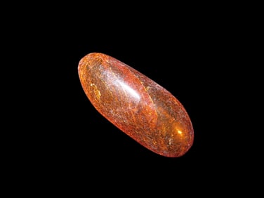 Fossil Amber found in Europe Private Collection. Penn