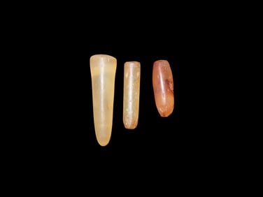 Rare Nose Plugs Jewelry Northern Africa
