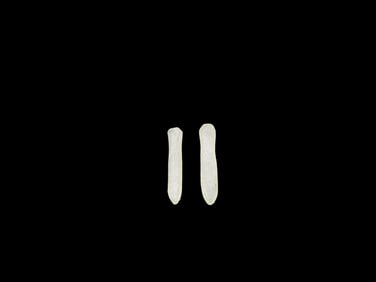 Neolithic NW Sahara Crystal Quartz Ear/Nose Plugs 3500 Years Old