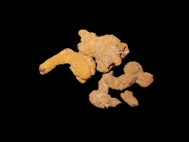 Coprolite Fossil Dinosaur Poop 100 Million Years Old Madagascar.