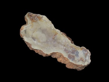 Jurassic Dinosaur Poop Fossil Coprolite.
