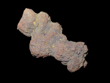 Coprolite Fossil Dinosaur Poop 100 million Years Old Madagascar.