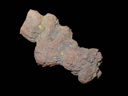 Coprolite Fossil Dinosaur Poop 100 million Years Old Madagascar.: Coprolite Fossil Dinosaur Poop 100 million Years Old Madagascar.