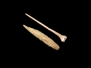 Quality Bone Awl Artifact Tennessee Ex Parker.