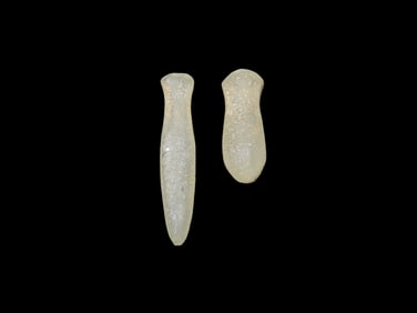 Neolithic NW Sahara Crystal Quartz Ear/Nose Plugs 3500 Years Old.