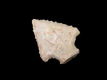 1.7/8" Cotton Bridge Central Florida Ex Walt McIntire.