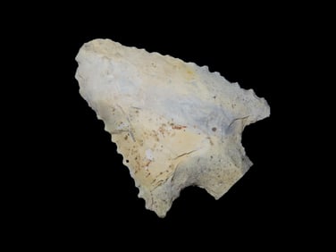 2.3/8" Serrated Arrowhead Central Florida Ex Walt McIntire.
