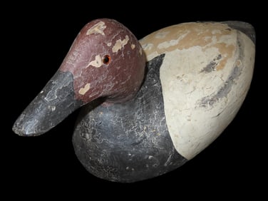 Working Canvasback Duck Decoy, Hand Carved, Glass Eyes, 14" Approx.