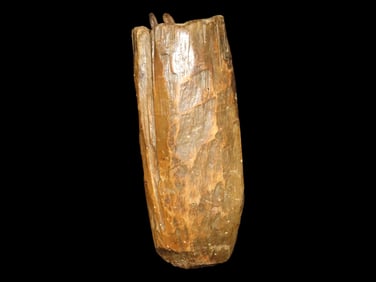 19th Century Dart Sheath, Wood, Spear Sheath, African