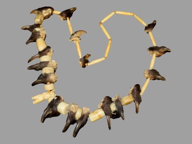 19" Bear Claw Coral Bone with Effigy Bear Fetish Necklace