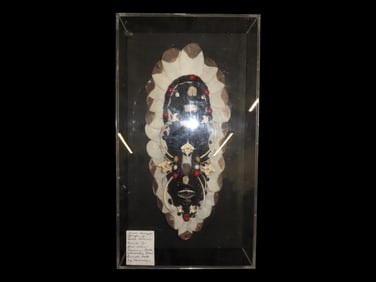 From the Amazon Jungles of South America - Consists of Fish bones, Piranha teeth, and Monkey Bones,
