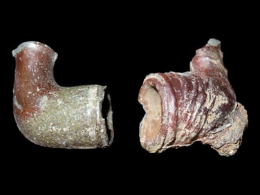 Clay Pipe(s) From The Old Pipe Link in Point Pleasant, Ohio