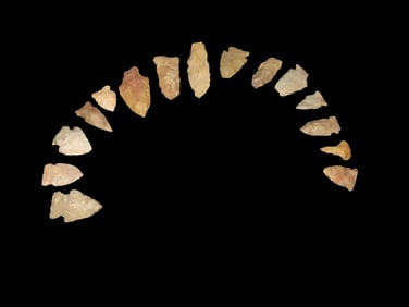 Group of Nice Common/Field Grade Points