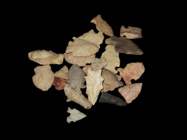 Lot of Nicer Quality Birdpoints and Arrowheads