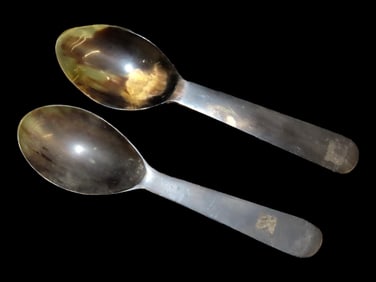 Set of 2 Horn Spoons