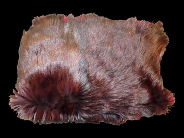 48" x 56" Taxidermy Black Bear fur with felt backing, needs repair