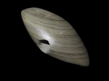 3 3/4" Winged Bannerstone from Wisconsin, Bennett COA, Beautiful Vivid Banding, Great Polish, ex