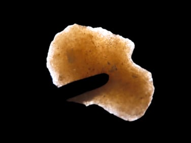 1 5/8" Hixton Alberta, Iowa, Highly Translucent Example, Well Flaked and Heavily Patinated, lateral