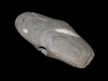 3 7/8" Wing Bannerstone, Guernsey Co. Ohio, Motley COA. Beautiful Green & Black Banded Slate with a