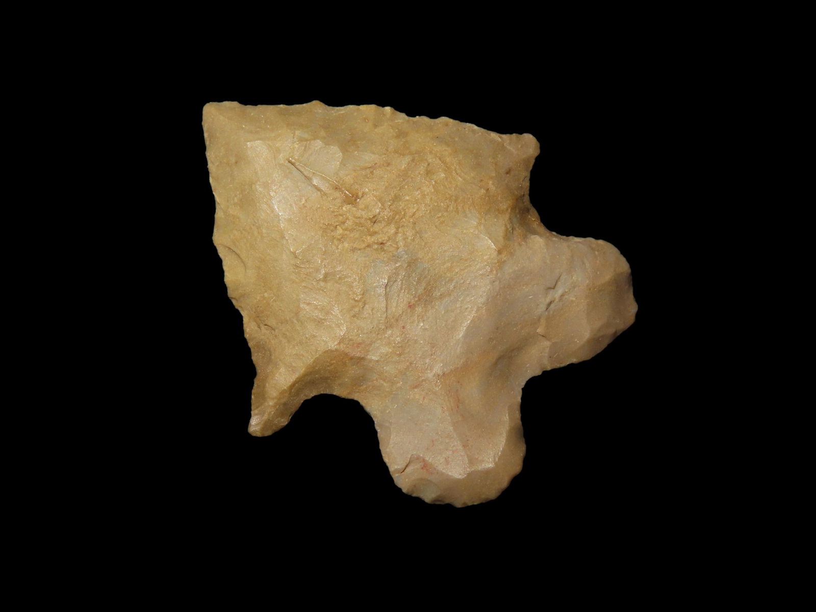 1 1/2" MacCorkle, Wayne County Tennessee, nice Classic Example, Indian Arrowhead, Artifact. (1 of 4)