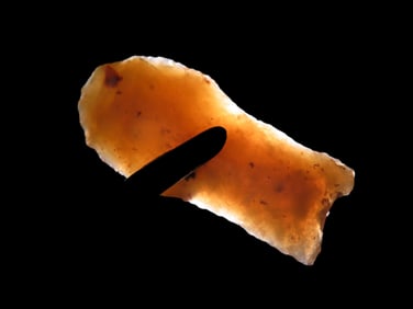 Amazing 1 7/8" Hell Gap found in Weld County Colorado, Beautiful high Plains Paleo Indian Arrowhead