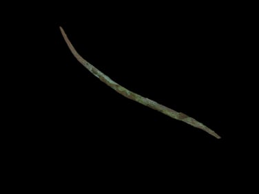 4 7/16" Copper Awl / Needle / Hairpin, Vilas County Wisconsin. Nice Example with Great Original