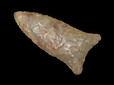 2 3/4" Paleo Quad / Suwanee, Southern Georgia, Motley COA. Very Colorful & Well Patinated Coastal