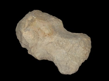 5 1/4" Notched Hoe, Southern Illinois, Nice No Brainer Authentic Example. Indian Digging Tool,