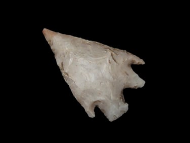 Wafer Thin 1 7/8" Montell, Kerr County Texas, Delicate Barbed Ears & Needle Tip, Very thin & Highly