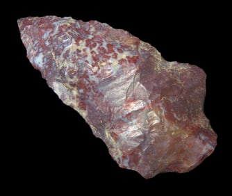 Rare Colorado Bird Point made from Petrified Dinosaur Bone, Lincoln County CO. Beautiful Material!